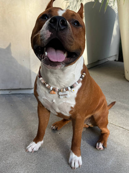 Puppuccino