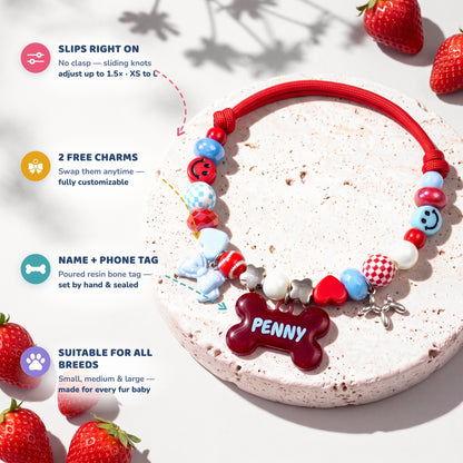 Picnic Crush beaded dog collar feature highlights: slips right on with sliding knots, 2 free swappable charms, poured resin name and phone tag, suitable for all breeds