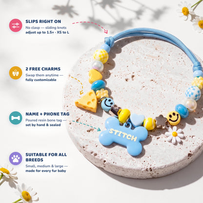 Sea & Sun beaded dog collar feature highlights: slips right on with sliding knots, 2 free swappable charms, poured resin name and phone tag, suitable for all breeds