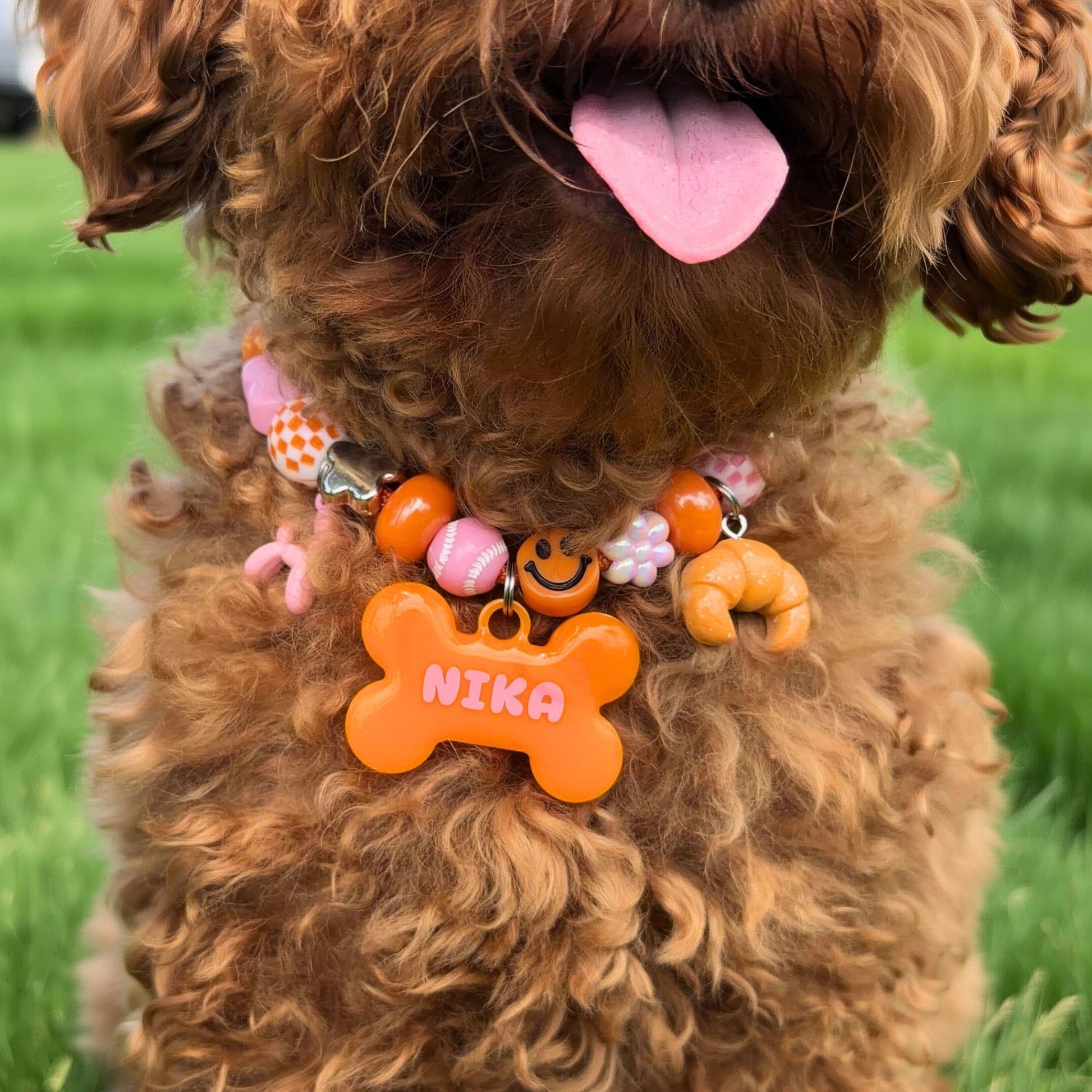 Beadboo beaded dog collar necklace with custom bone name tag