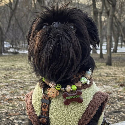 Beadboo beaded dog collar necklace with custom bone name tag