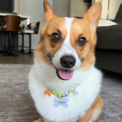 Beadboo beaded dog collar necklace with custom bone name tag