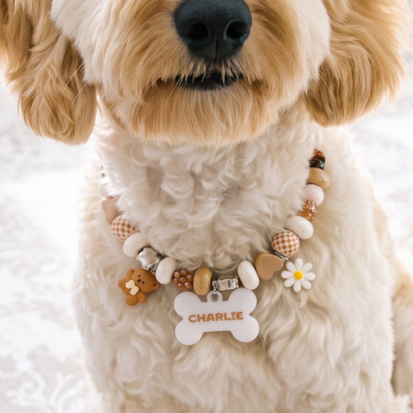 Beadboo beaded dog collar necklace with custom bone name tag