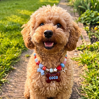 Beadboo beaded dog collar necklace with custom bone name tag