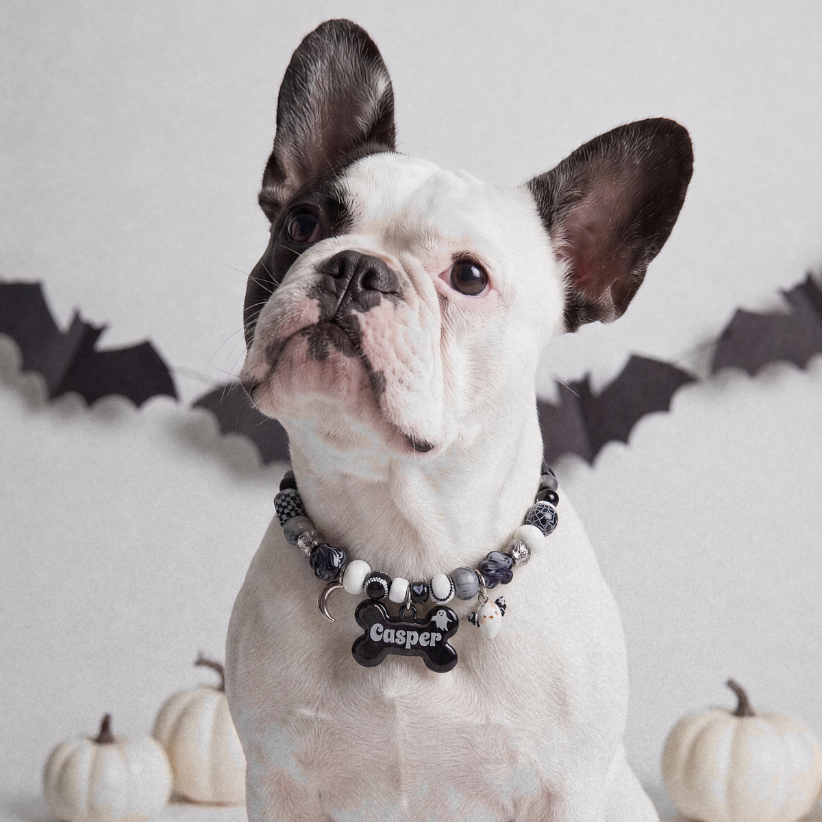 Ghostling beaded dog necklace — black and white beads, silver moon and ghost charms, black bone name tag