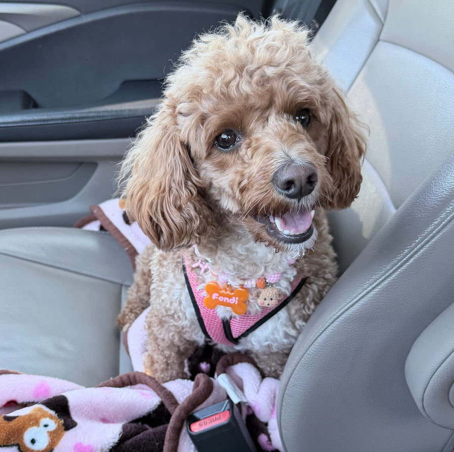 Fendi smiling in the car in her Foxy Roxy BEADBOO necklace with an orange bone name tag