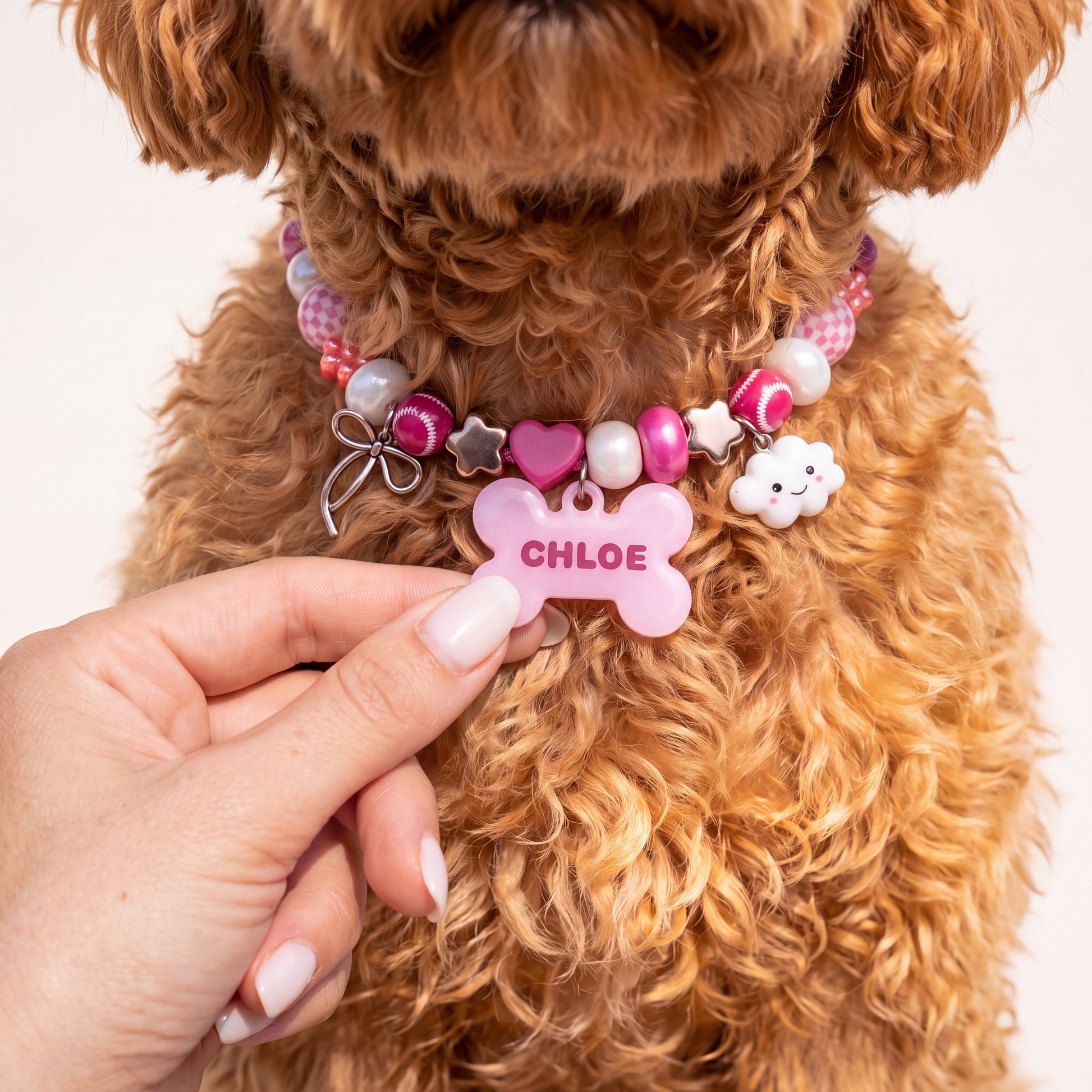 Berry Blush pink beaded dog collar on an apricot toy poodle, hand holding the resin bone name tag