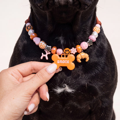 Foxy Roxy orange and pink beaded dog collar on a french bulldog, hand holding the resin bone name tag