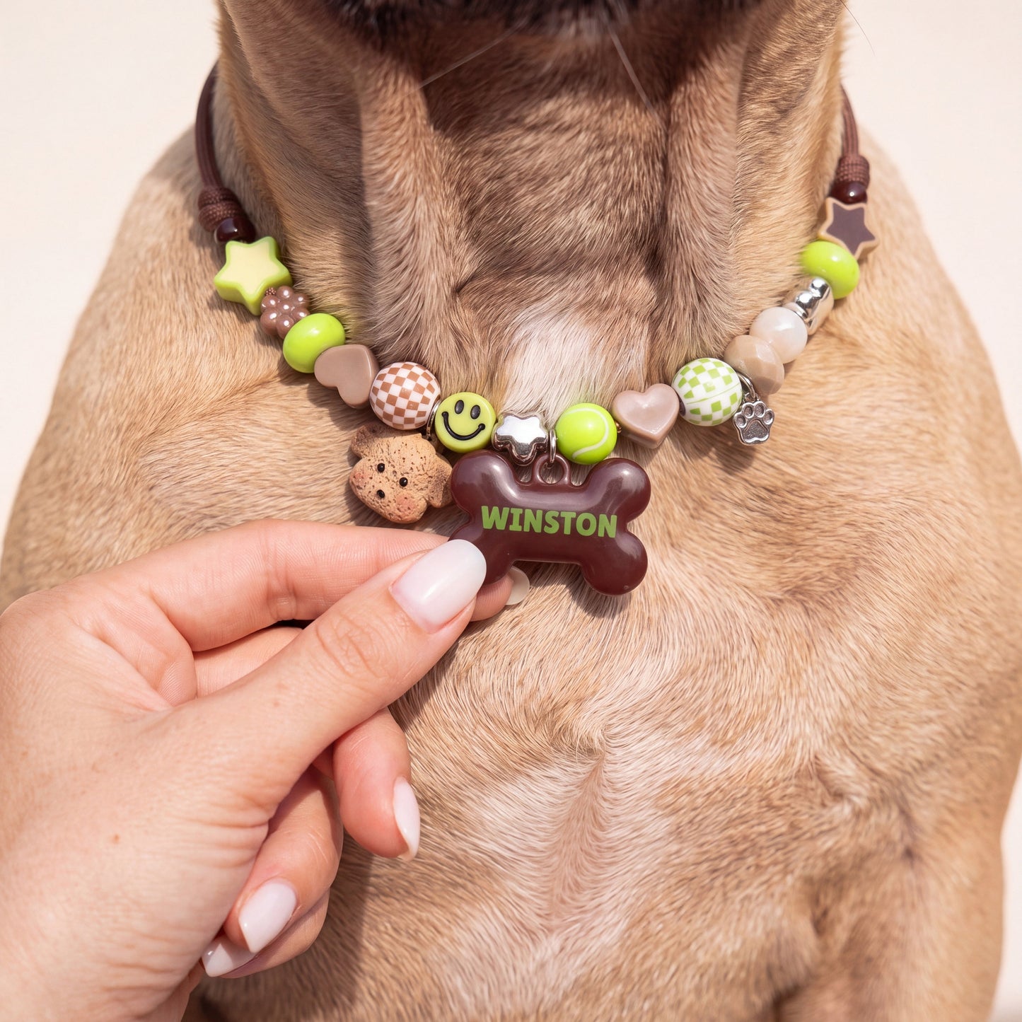 Happy Camper beaded dog collar worn by a dog — beadboo