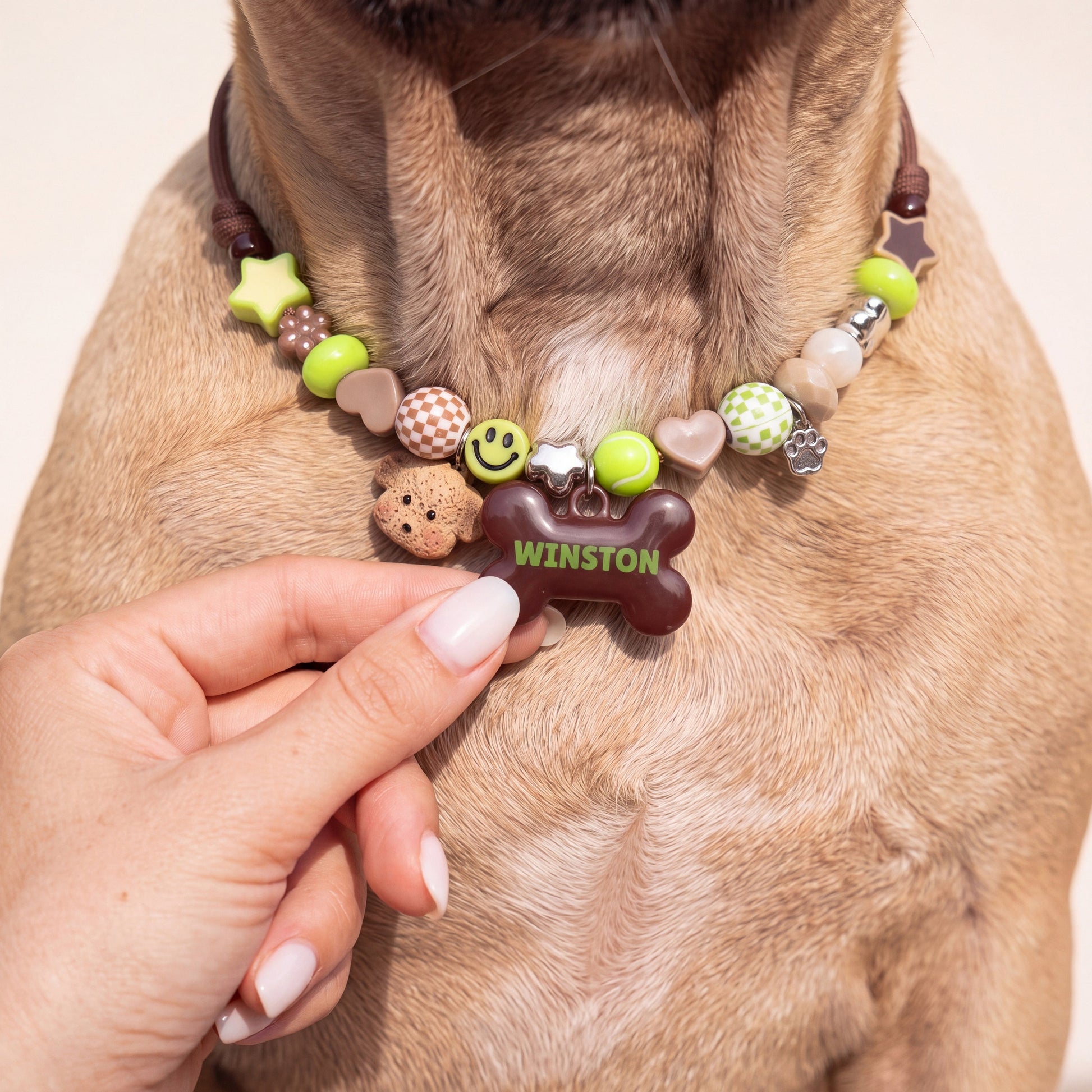 Happy Camper beaded dog collar worn by a dog — beadboo