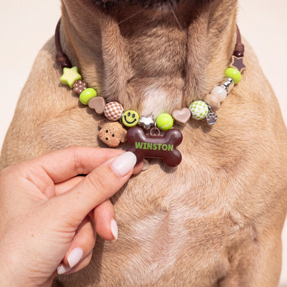 Happy Camper beaded dog collar worn by a dog — beadboo