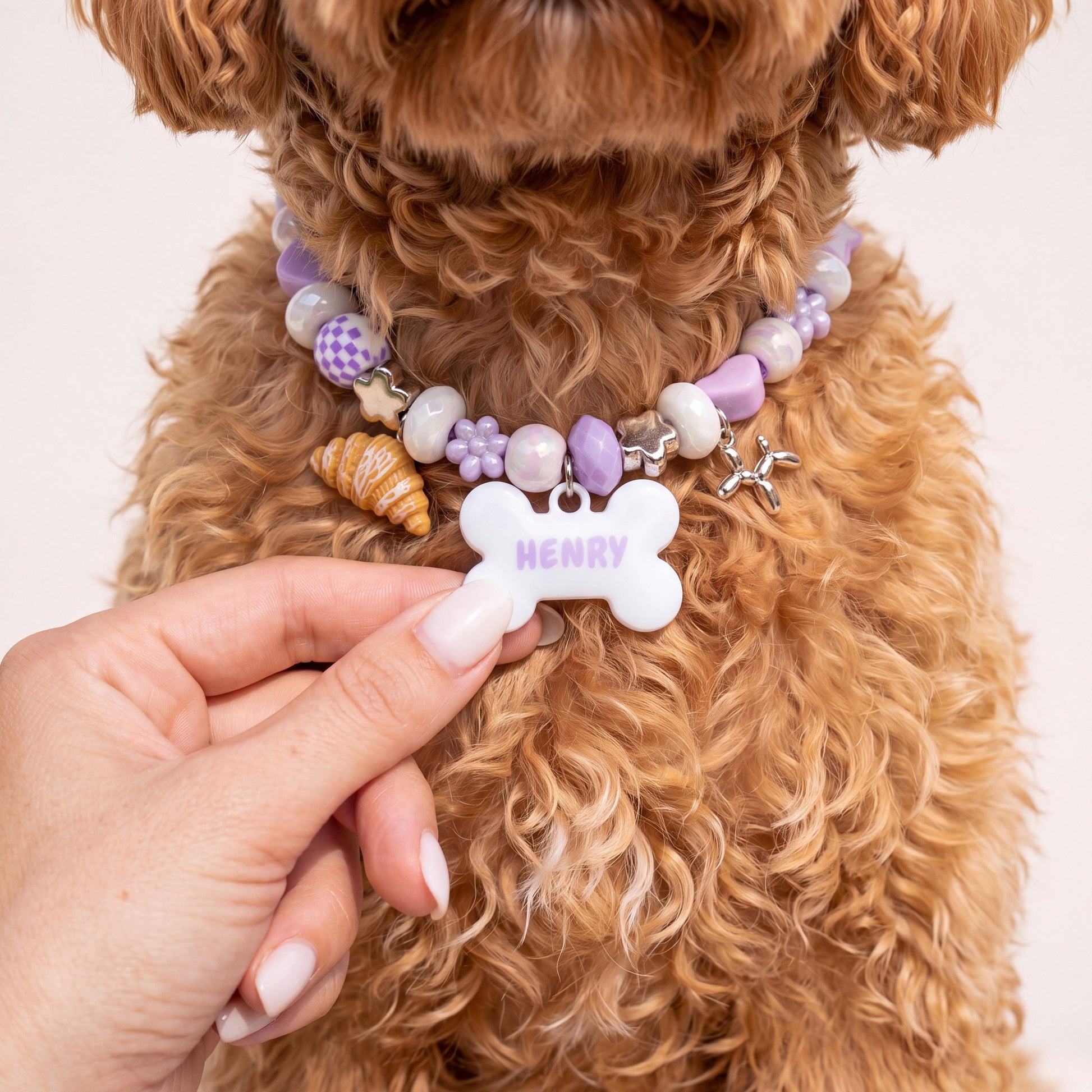Moon Milk beaded dog collar worn by a dog — beadboo