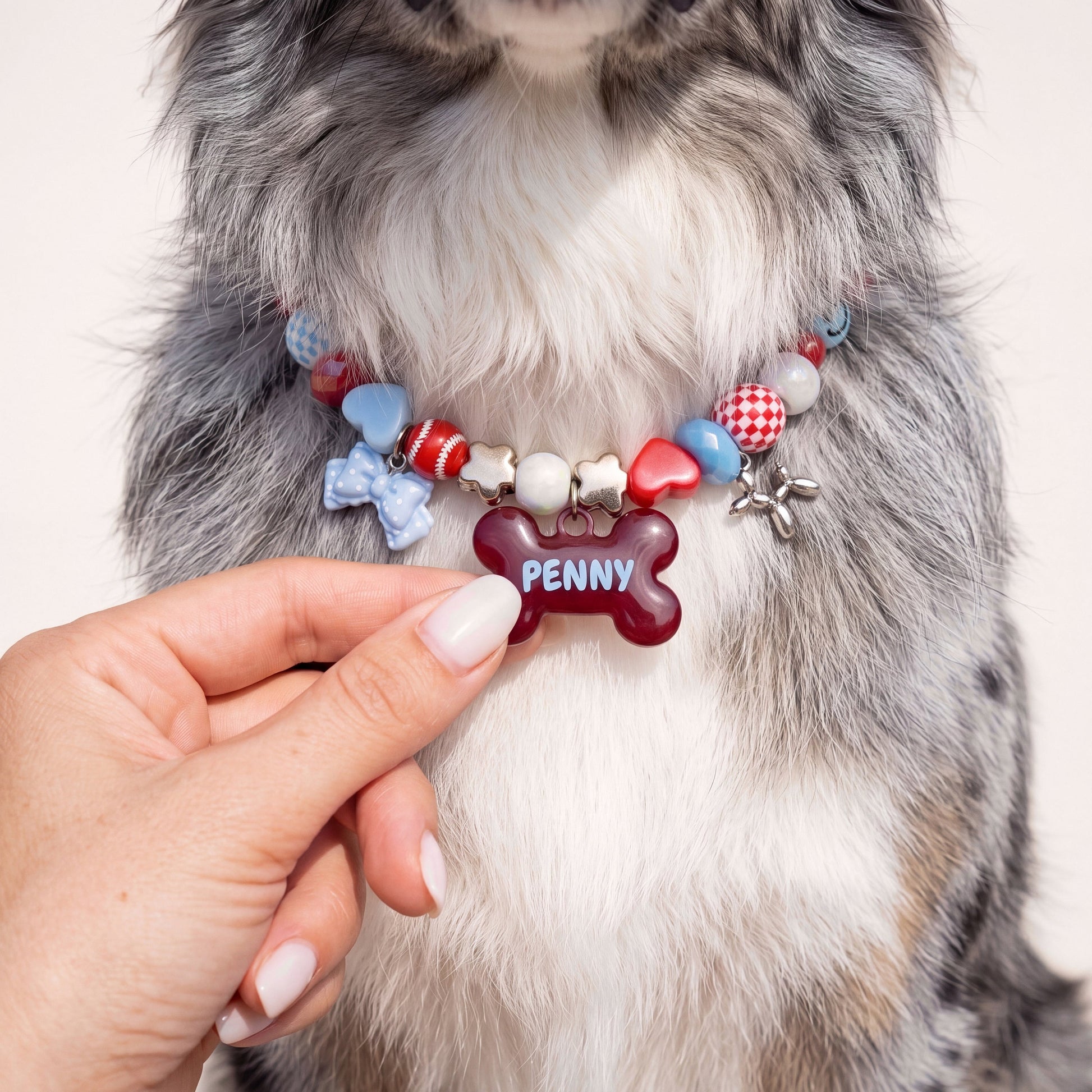 Picnic Crush beaded dog collar worn by a dog — beadboo