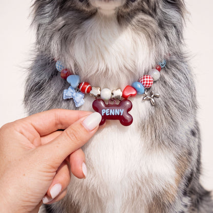 Picnic Crush beaded dog collar worn by a dog — beadboo