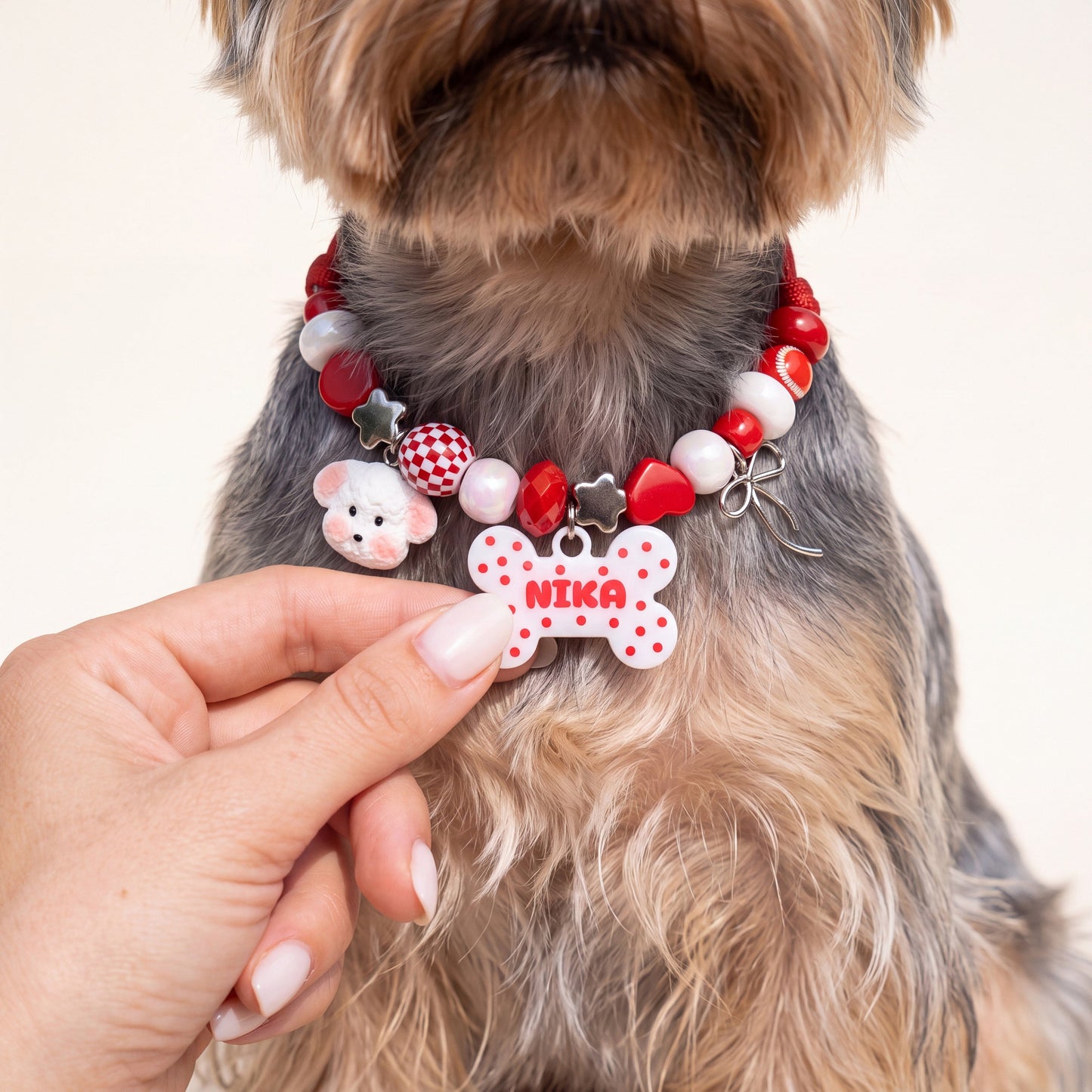 Polka Pup beaded dog collar worn by a dog — beadboo