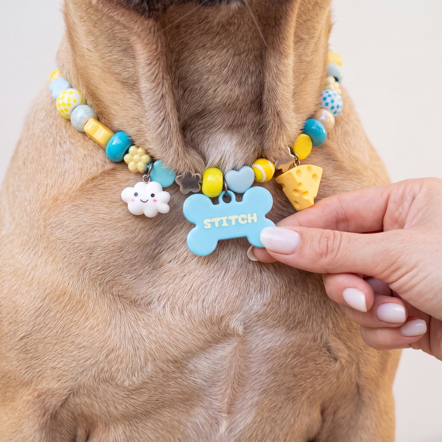 Sea & Sun beaded dog collar worn by a dog — beadboo