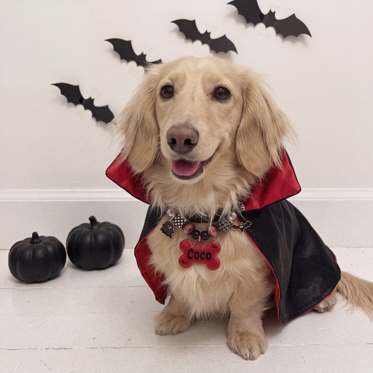 Vampup beaded dog necklace — cherry red and black beads, ghost and bat charms, red bone name tag with little bats
