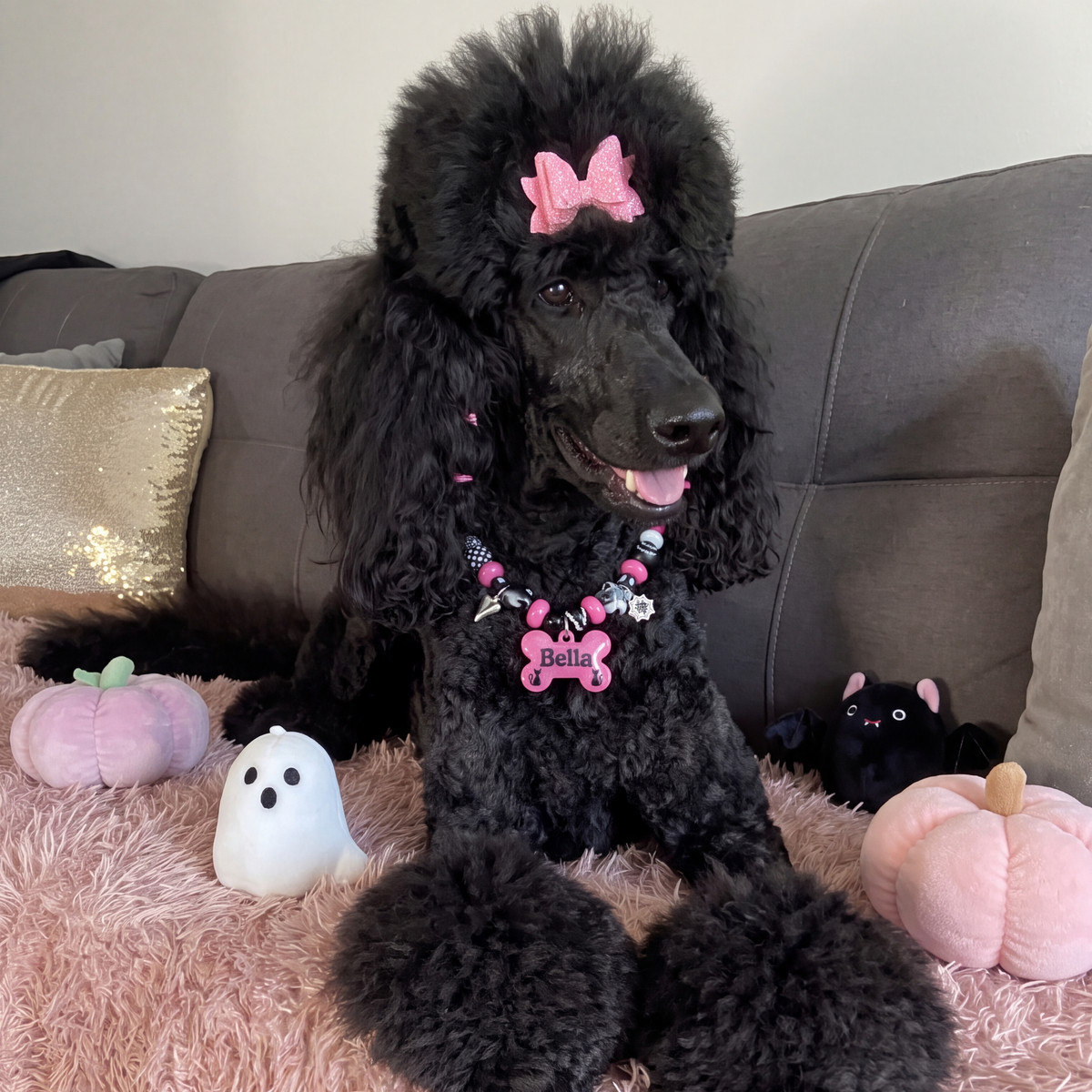 Witchy Whiskers beaded dog necklace — hot pink and black beads, silver heart and spiderweb charms, glittery pink bone name tag